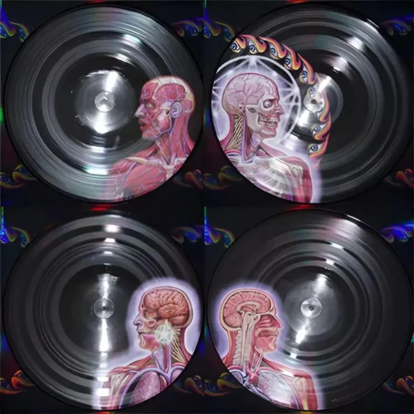 TOOL - LATERALUS (2LP-PICTURE DISC-4 DIFFERENT IMAGES-HOLOGRAPHIC GATEFO 1 TOOL - Lateralus (Edición limitada, 2LPs, 4 imágenes diferentes)