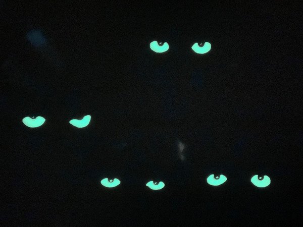 in KISS - Creatures Of The Night (Edición 40 Aniversario)