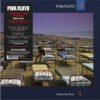 PINK FLOYD - Momentary Laps - TAPA PINK FLOYD - A Momentary Lapse of Reason (1LP 180gr, Remasterizado)