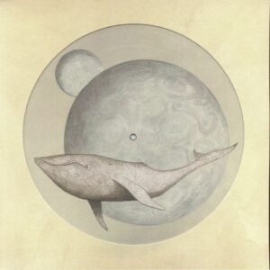 GOJIRA - From Mars to Sirius - TAPA GOJIRA - From Mars to Sirius (2LP Zoetrope/Picture)
